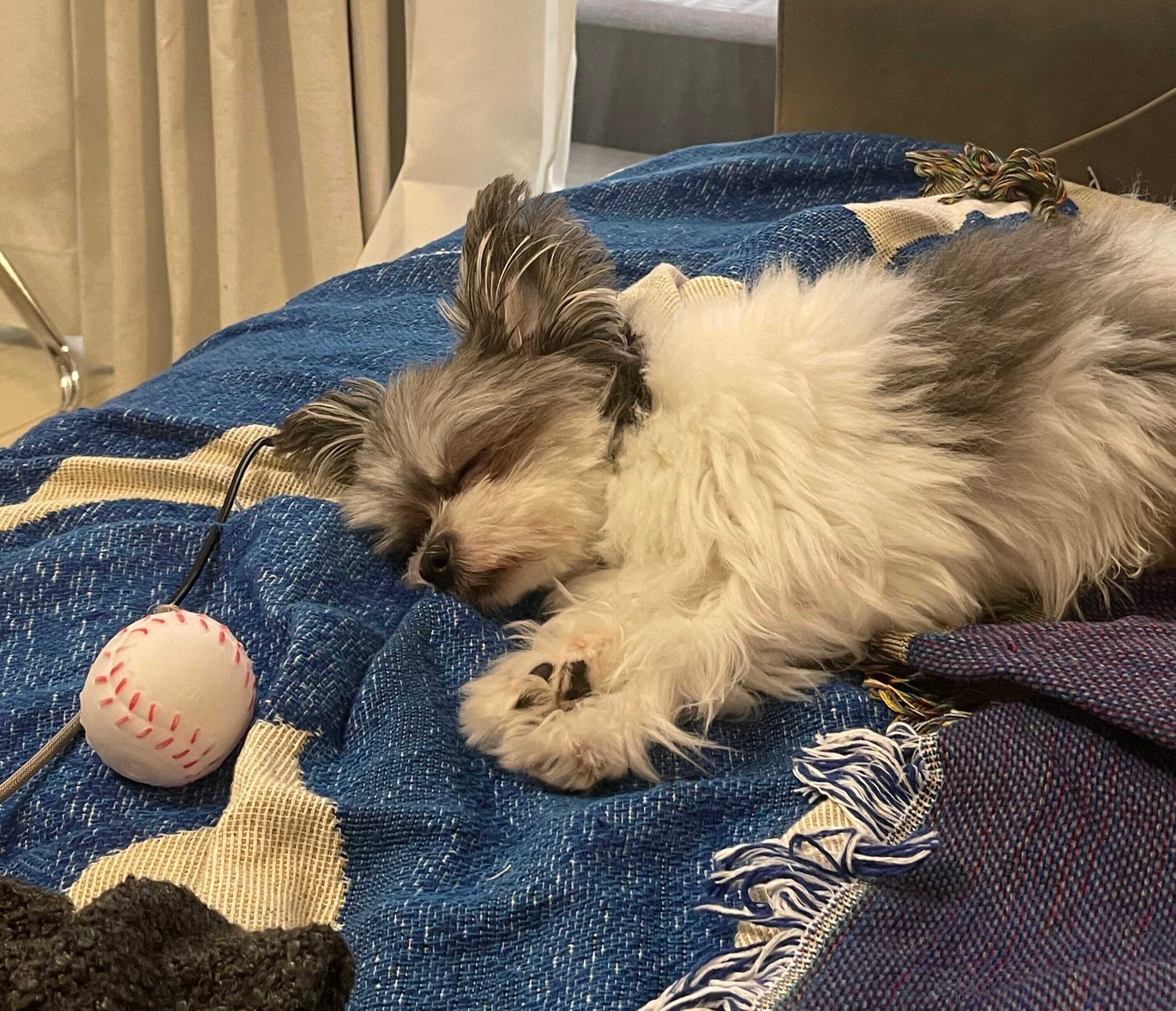 心地よさそうに眠るもじゅくん