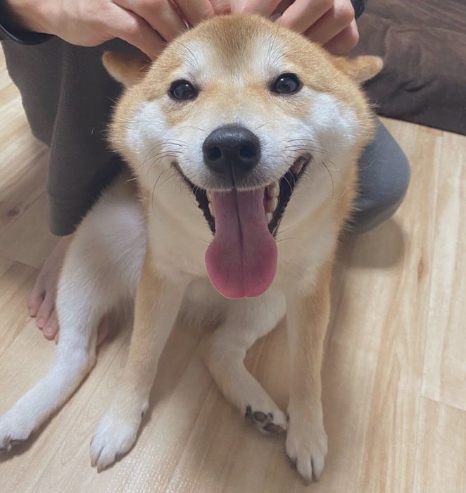 ニコニコ笑顔が可愛いコタくん