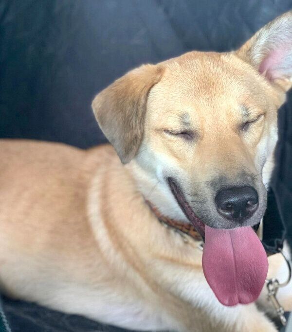 微笑むカイトくん