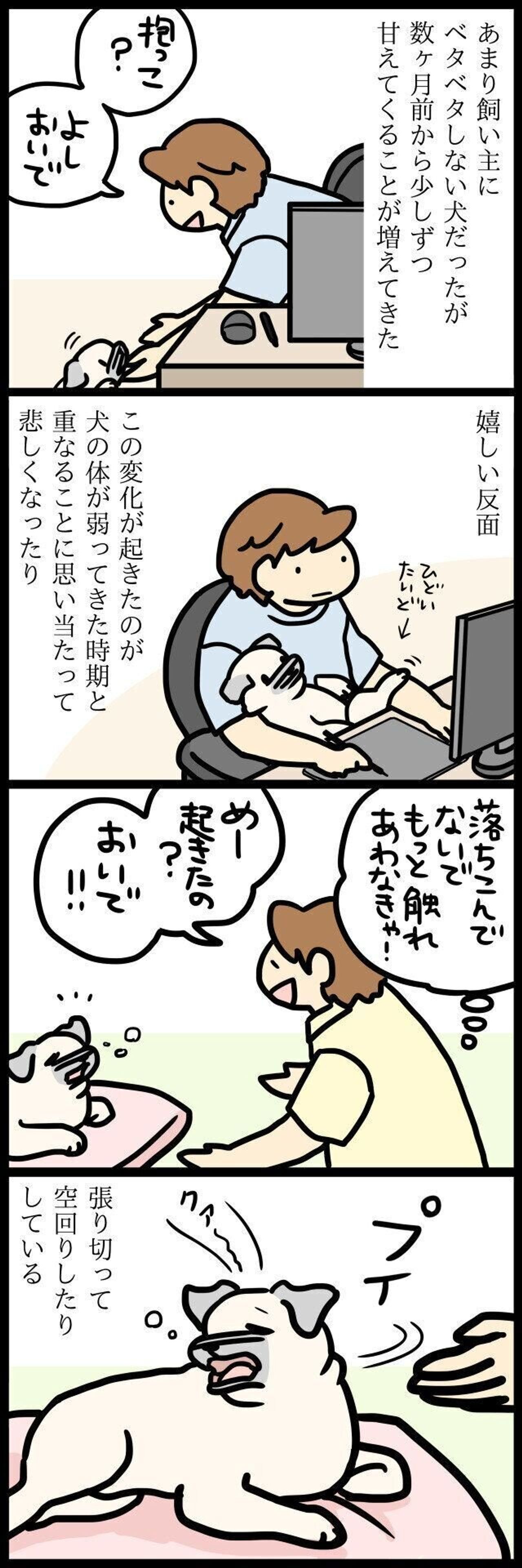 甘えてくるようになったパグ犬めー でもやっぱり気まぐれ 連載 パグ犬 めー Vol 114 いぬのきもちweb Magazine 甘えてくるようになったパグ犬めー でもやっぱり気まぐれ 連載 パグ犬 めー Vol 114 いぬのきもちweb Magazine