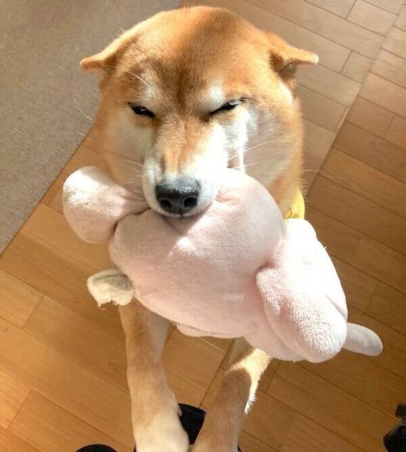 笑顔が素敵なすずちゃん