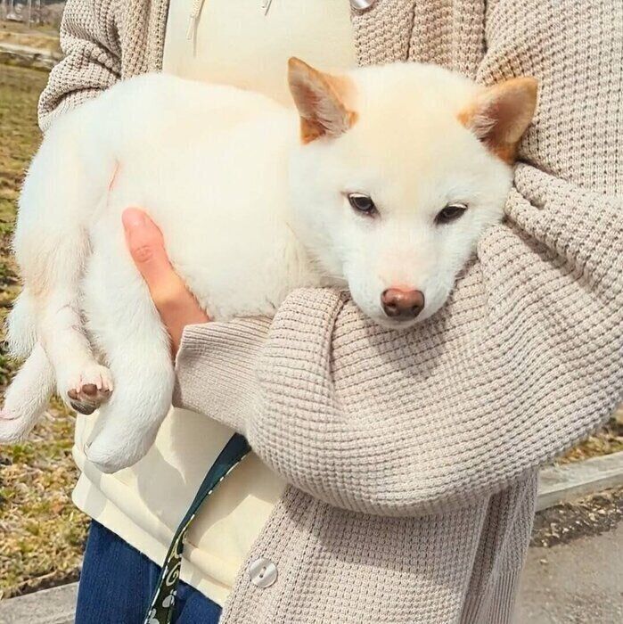 散歩デビューしたときのまんまるくん