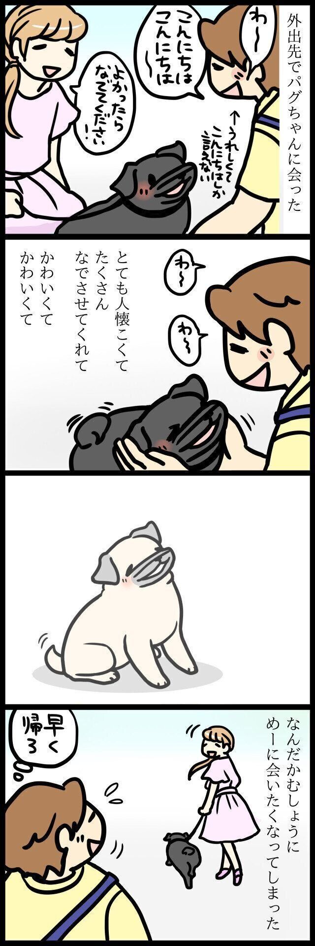 【連載】パグ犬・めー