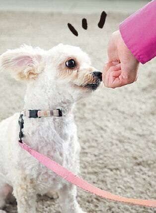 撮影／尾﨑たまき