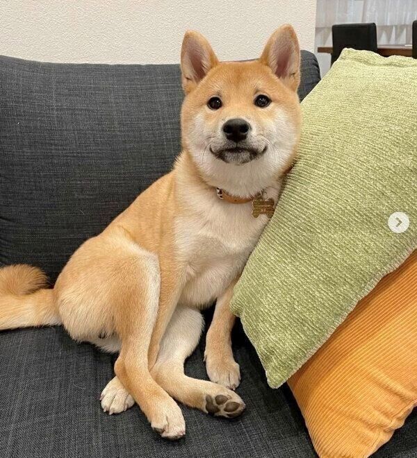 見つめるまるくん