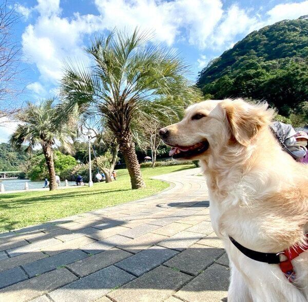 お出かけを楽しむHanaちゃん