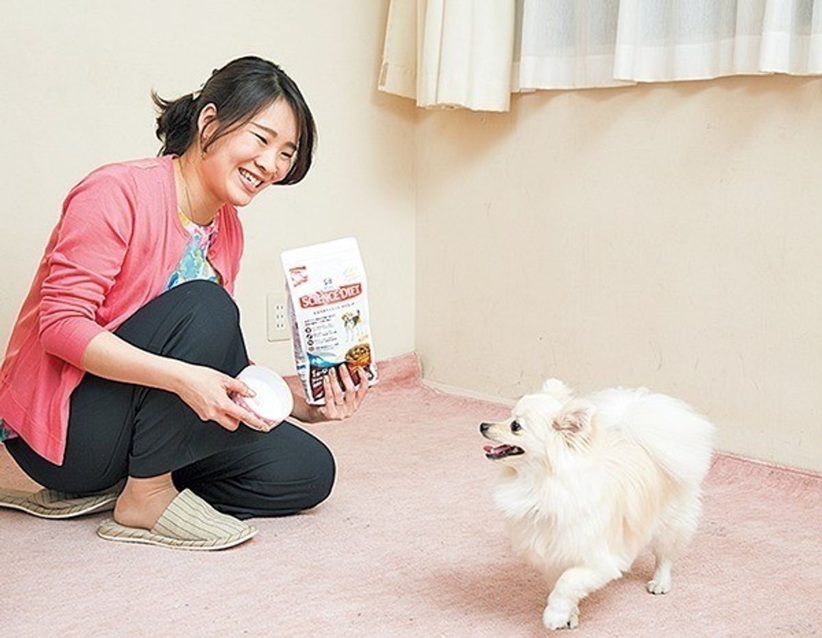 制御不能のワガママ犬に育つかも 飼い主がやめるべき ダメ習慣 のシーン別対策法 いぬのきもちweb Magazine 制御不能のワガママ犬に育つかも 飼い主がやめるべき ダメ習慣 のシーン別対策法 いぬのきもちweb Magazine