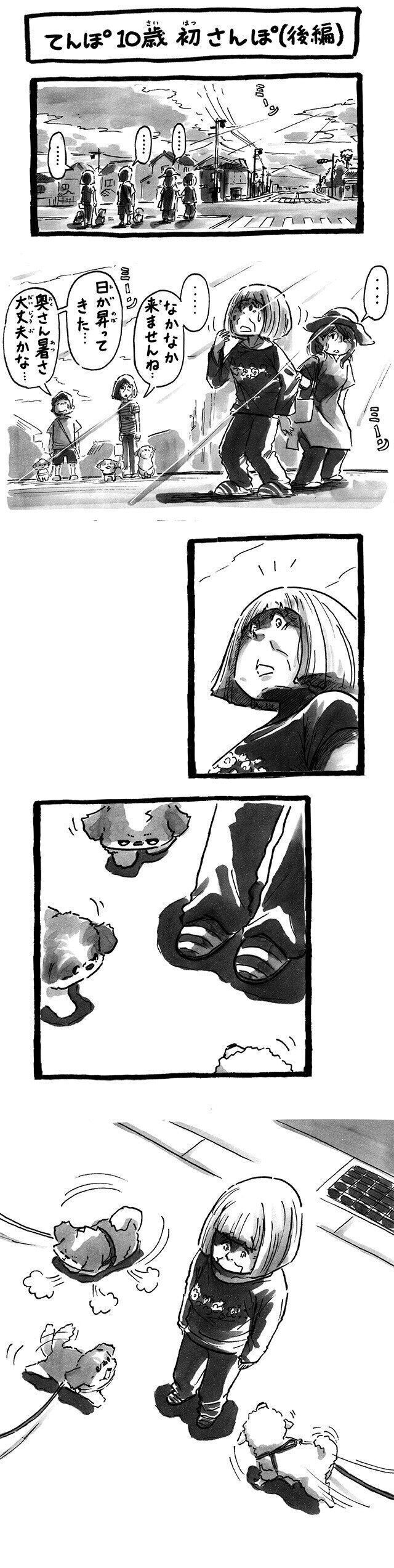 シーズー犬マンガてんぽshihtzu