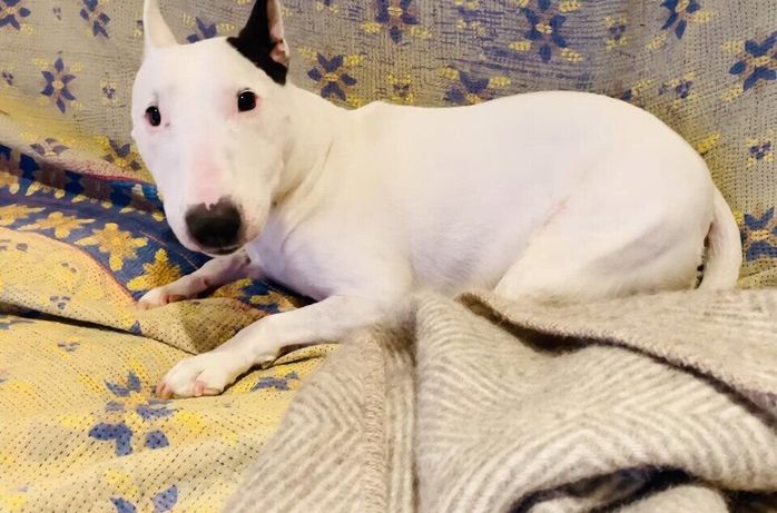 カメラ目線でもアピールをするおこめちゃん