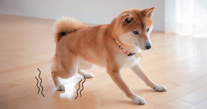 全身が写るように意識して