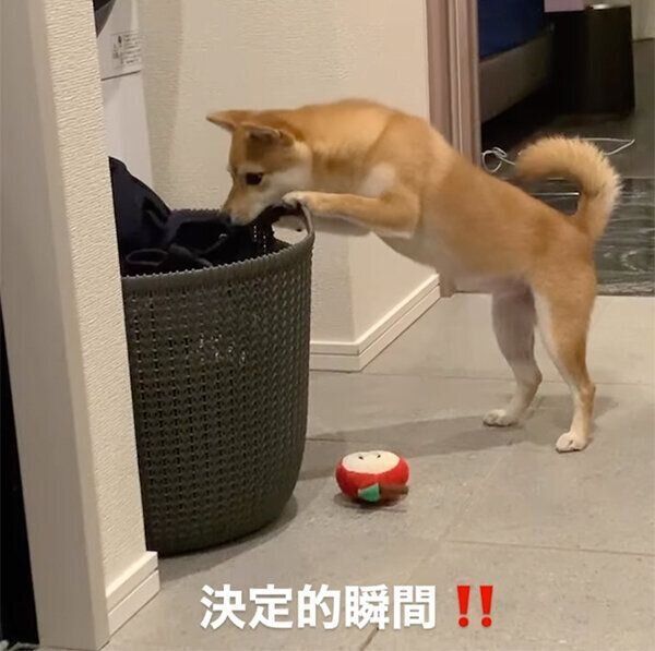 靴下をとろうとするお茶子ちゃん