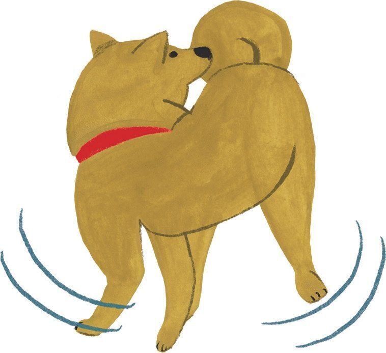 イラスト／macco