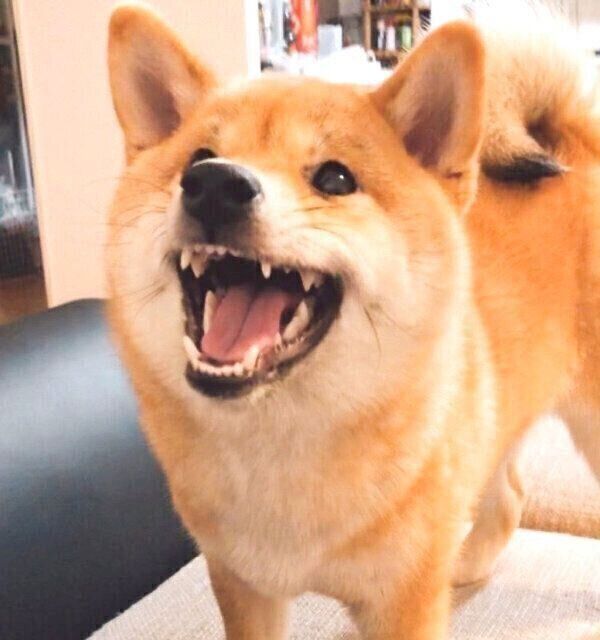 笑顔のタッちゃん