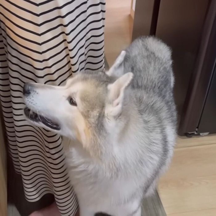 楽しみにしている文太ちゃん