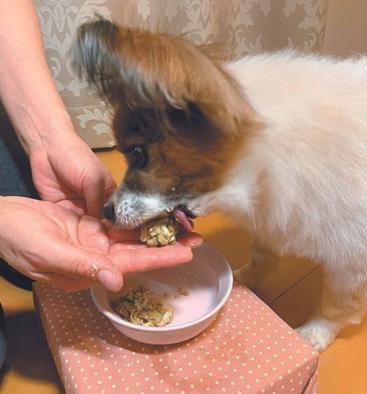 手の上にのせて口元に運び、食べさせます