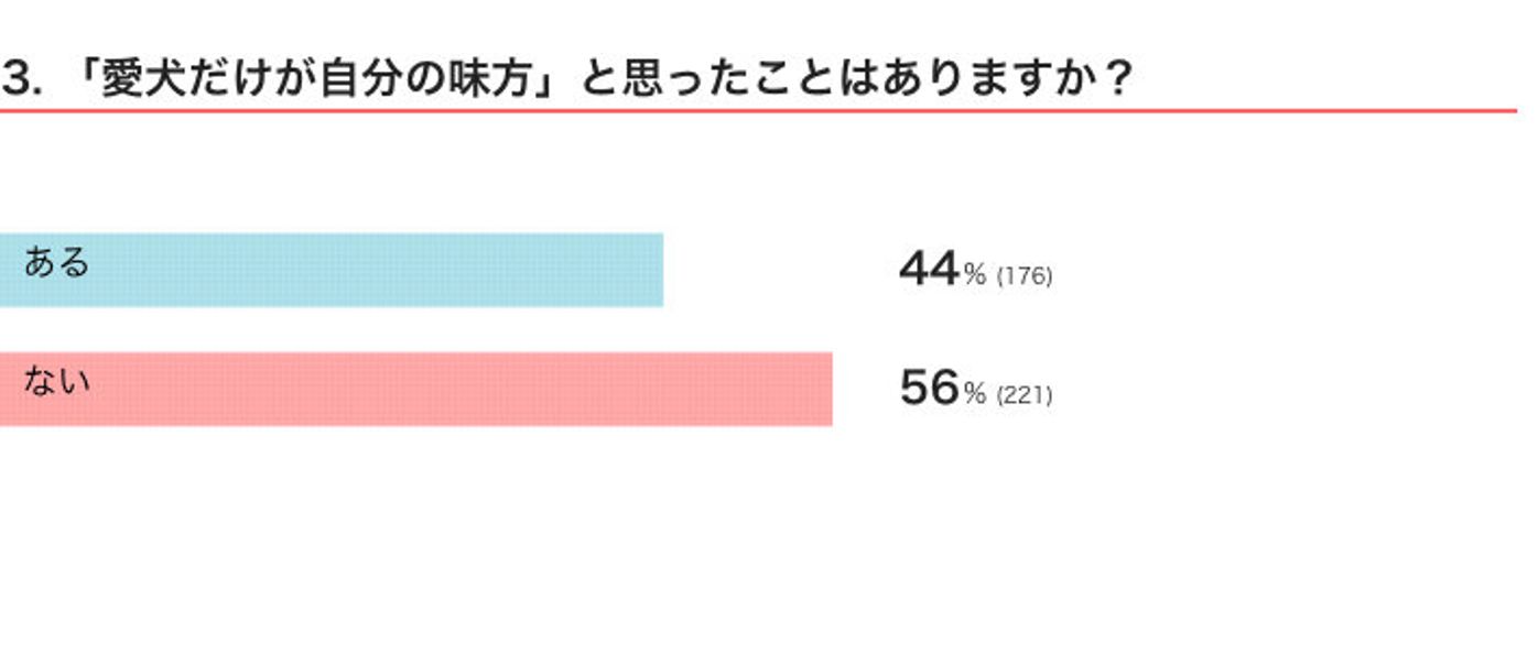 つらいときもそばに 愛犬だけが自分の味方だ と実感した瞬間は いぬのきもちweb Magazine つらいときもそばに 愛犬だけが自分の味方だ と実感した瞬間は いぬのきもちweb Magazine
