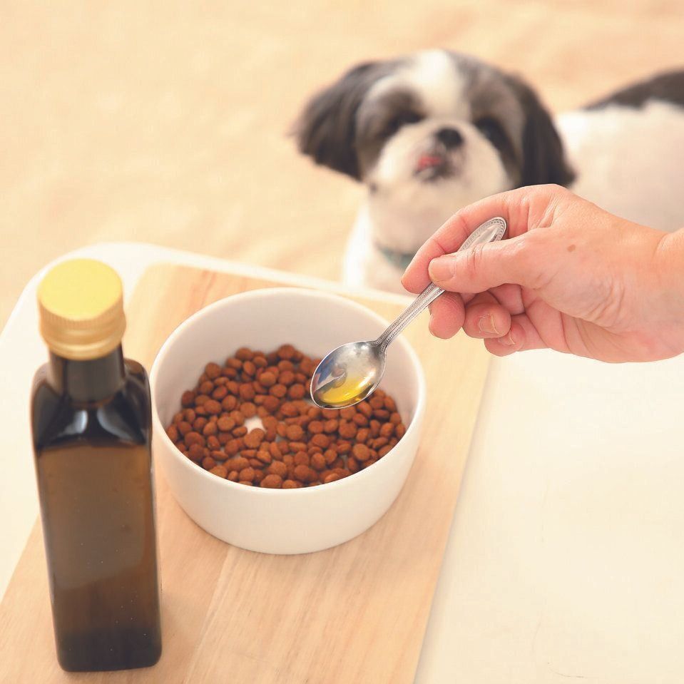 撮影／尾﨑たまき