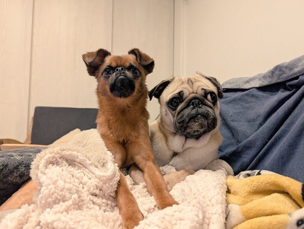 仲良くくっつくビノくん、ルンタくん