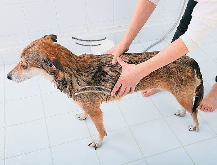 しっかり水切り