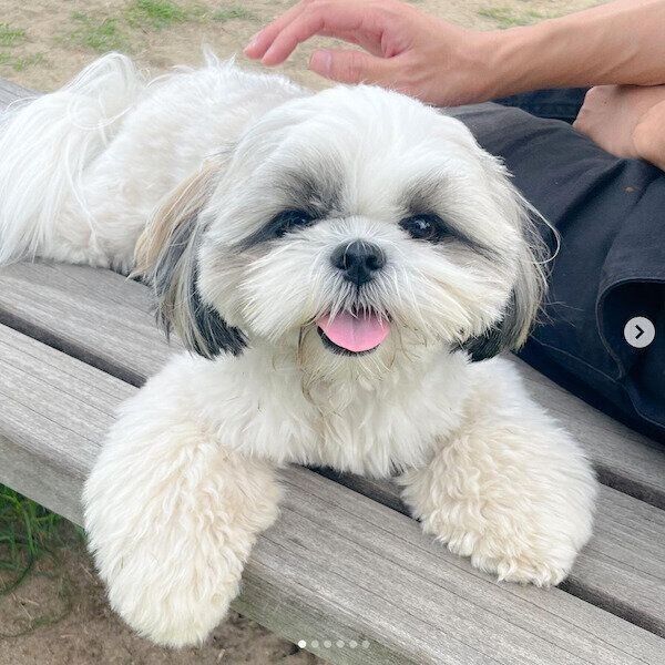 笑顔のぽんぷぅちゃん