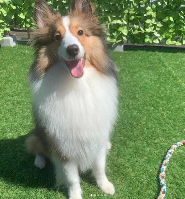 笑顔が可愛いルネちゃん