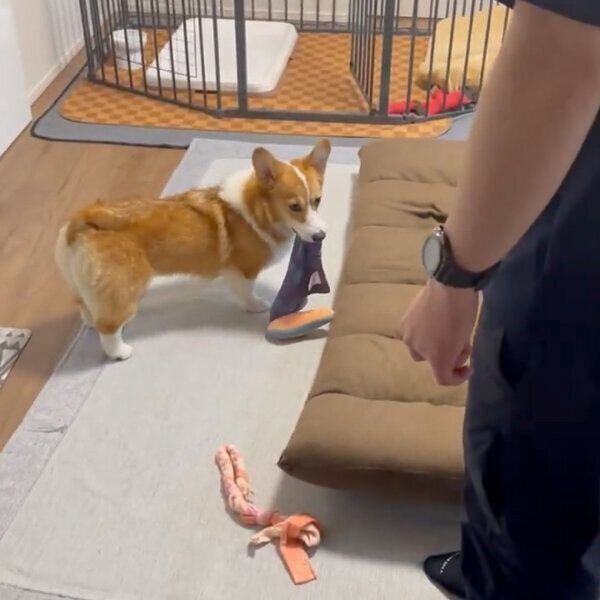 ハンカチを強奪するもなかちゃん