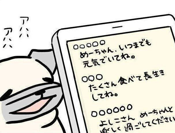 【連載】パグ犬・めー vol.122