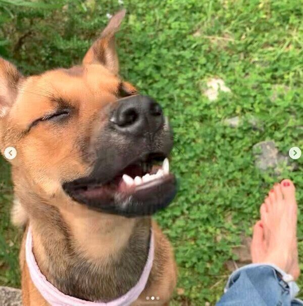 庭遊びを楽しむハロちゃん