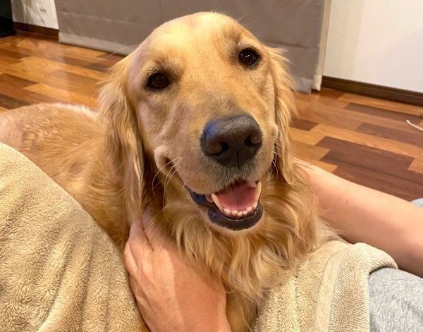 微笑むこはるちゃん