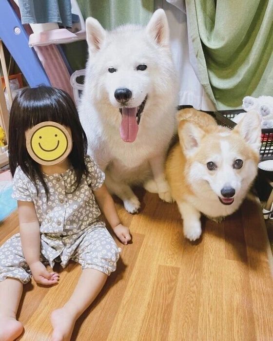 「仲良し3姉妹」のキャリーちゃん、ムギちゃん、娘さん。