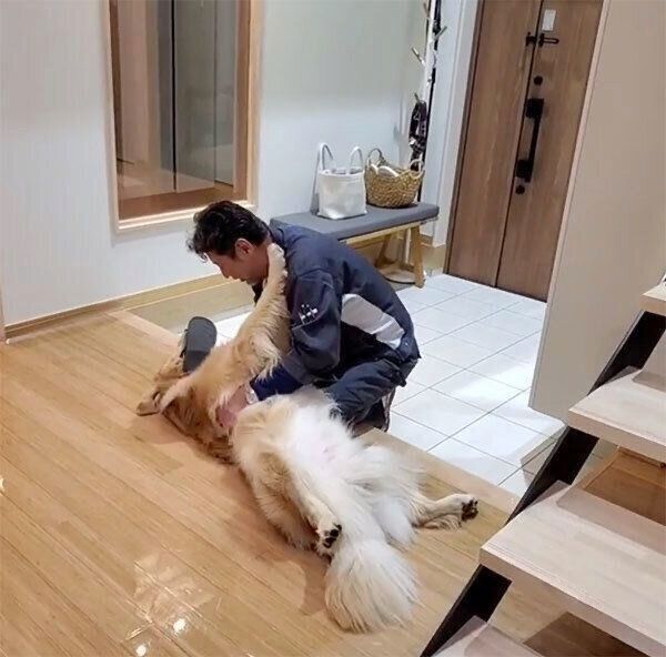 パパさんの帰宅を歓迎するアランくん