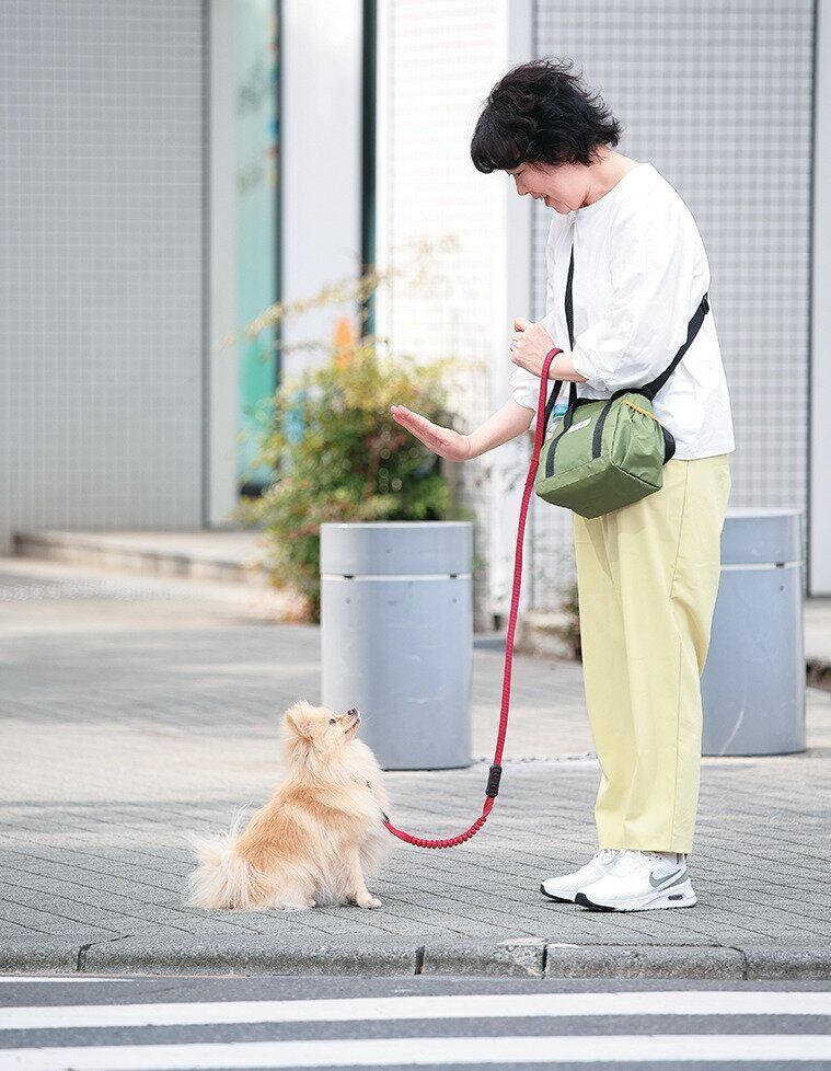外でマッテをする犬