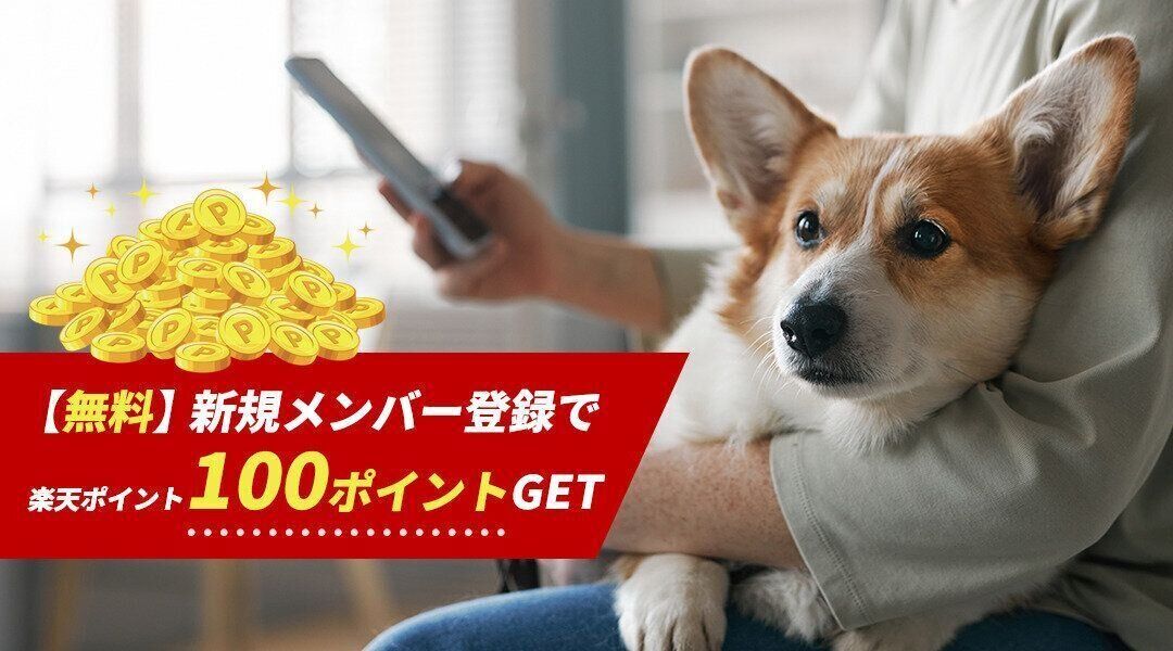 新規メンバー登録で楽天ポイント100ポイントGET