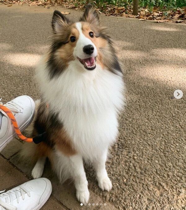 楽しそうなルネちゃん