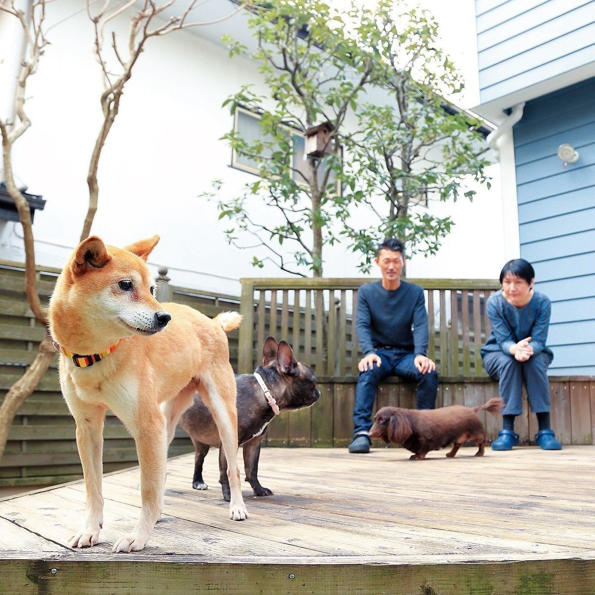 <span style="font-size:smaller;">撮影／尾﨑たまき</span>