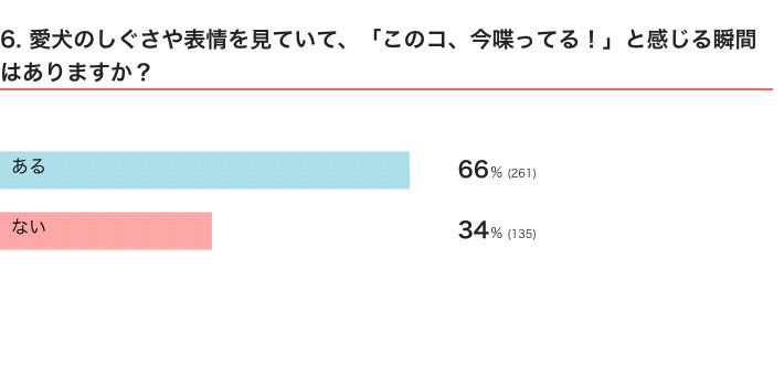 いぬのきもちWEB MAGAZINE　犬の生態に関するアンケートvol.01