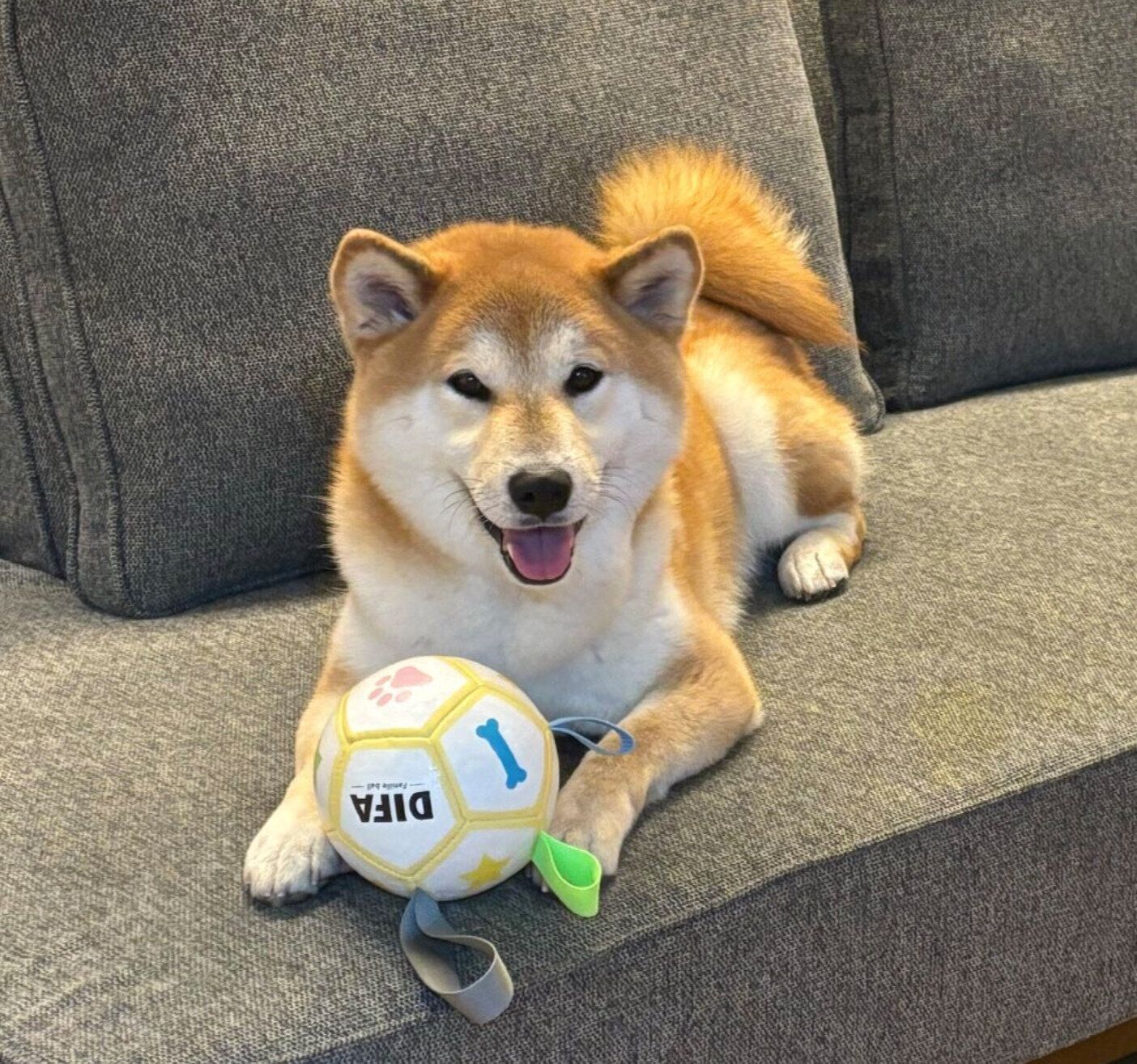 笑顔が可愛い会長さん