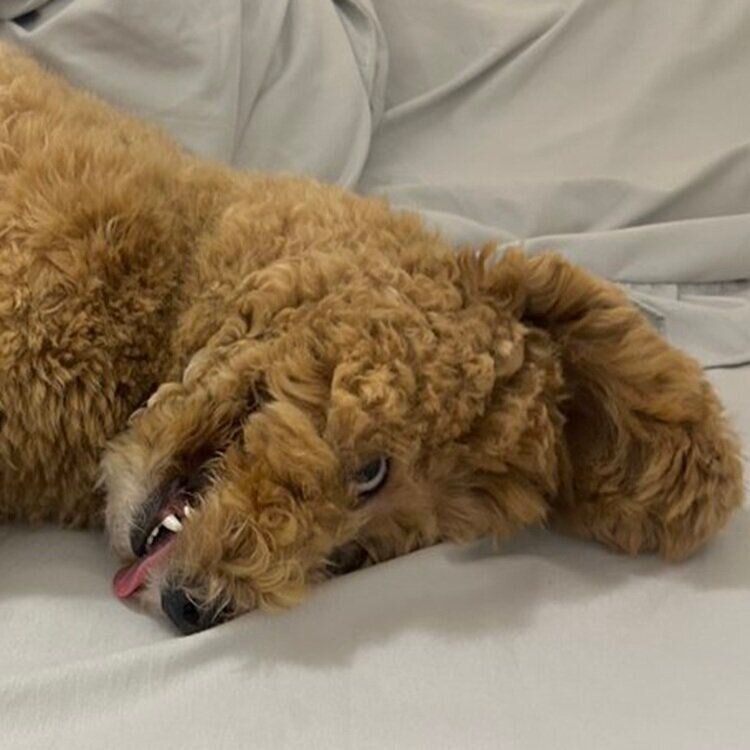 「かわいい」と思って撮ったはずが……
