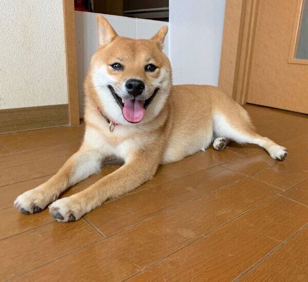 笑顔のみみちゃん