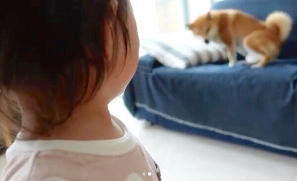 氷を食べる花子ちゃんと、大泣きするモモ子ちゃん