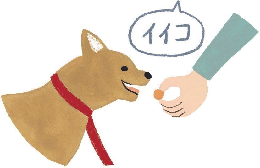 イラスト／macco