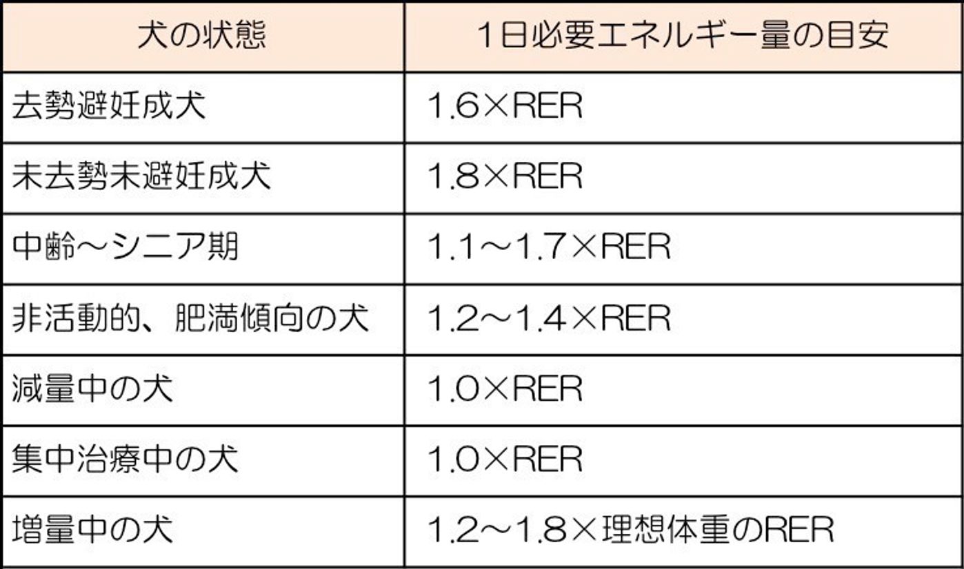 犬の食事大全 基礎知識から市販 手作りフードの留意点まで いぬのきもちweb Magazine 犬の食事大全 基礎知識から市販 手作りフードの留意点まで いぬのきもちweb Magazine