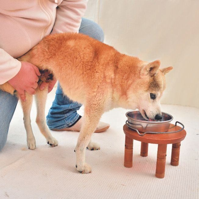 おなかを押さえないように注意を