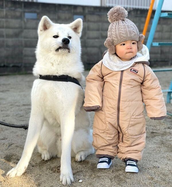 仲良しな凛太郎くんと弟くん