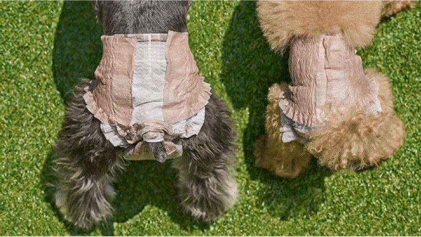 リニューアルした「エリエールPet キミおもい のびのび動けるアクティブウェア」