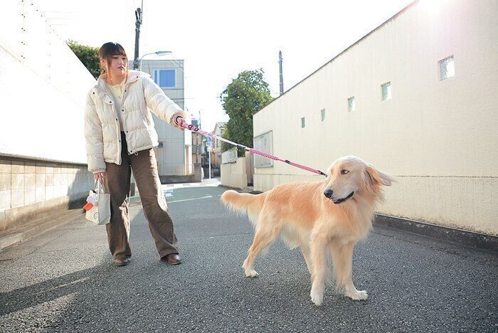 リードを引っ張る犬