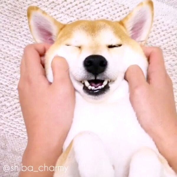 ほっぺがモチモチなチャーミーちゃん