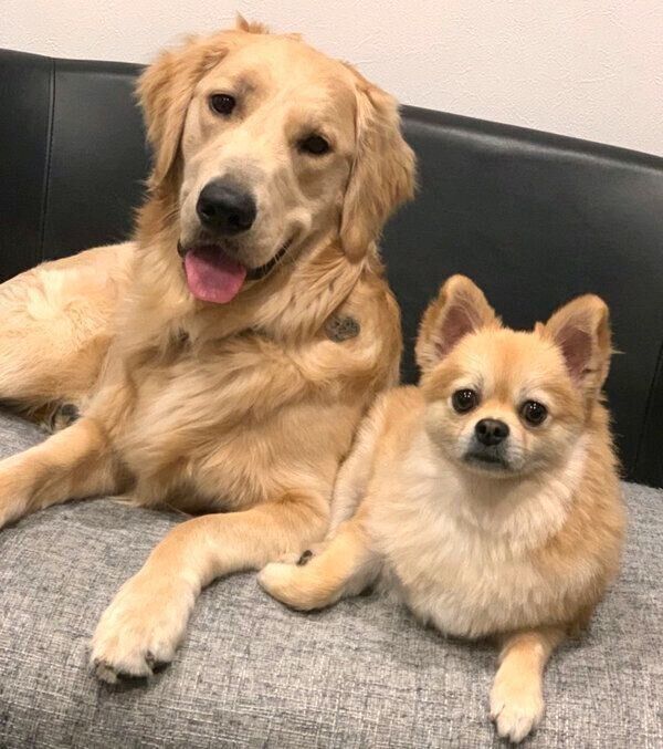 寄り添うぽん吉くんとらん丸くん