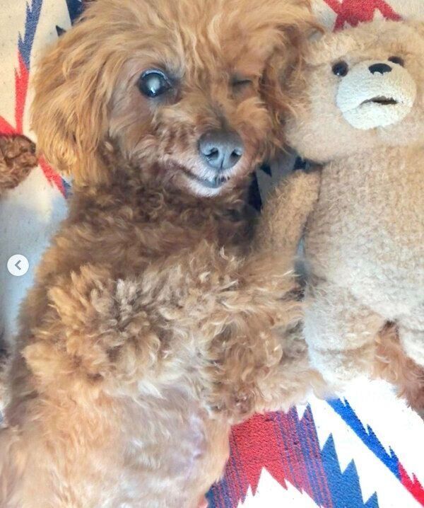 まったりするむぎちゃん