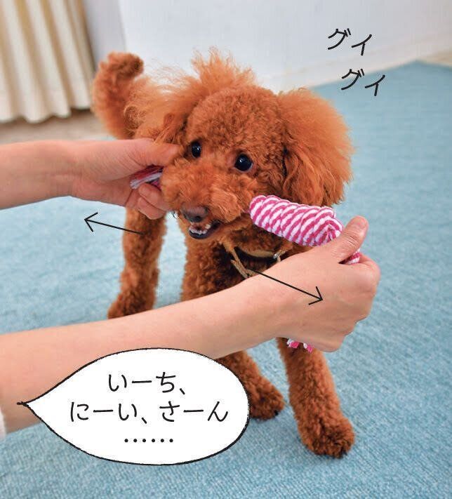 おもちゃを左右に動かす